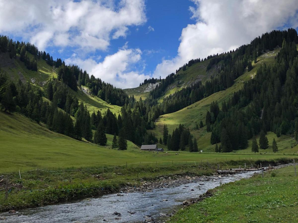 Walli Laterns - Ski Und Bergvergnuegen Direkt Vor Der Haustuer Dış mekan fotoğraf